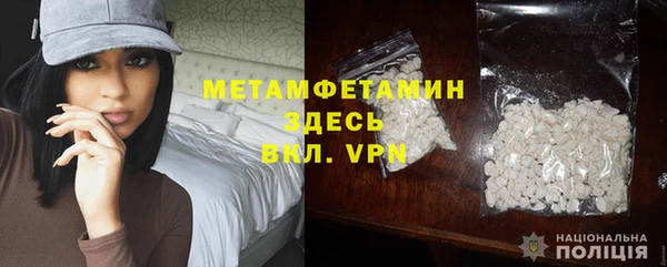прущие грибы Армянск
