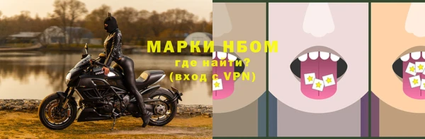прущий лед Аркадак