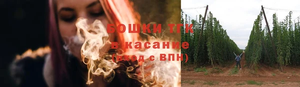 прущие грибы Армянск