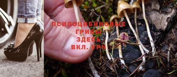 прущие грибы Армянск
