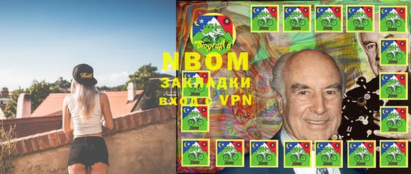 прущие грибы Армянск