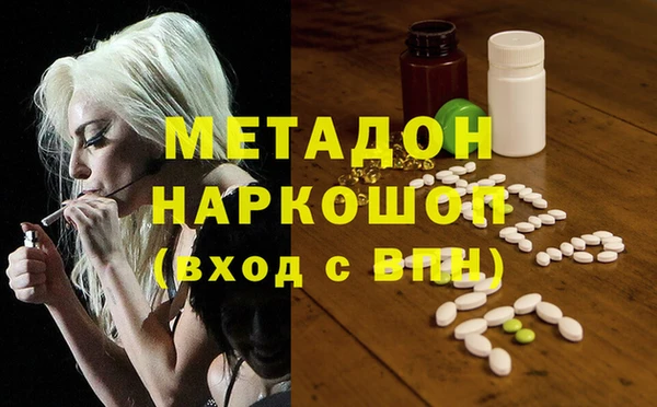 прущие грибы Армянск