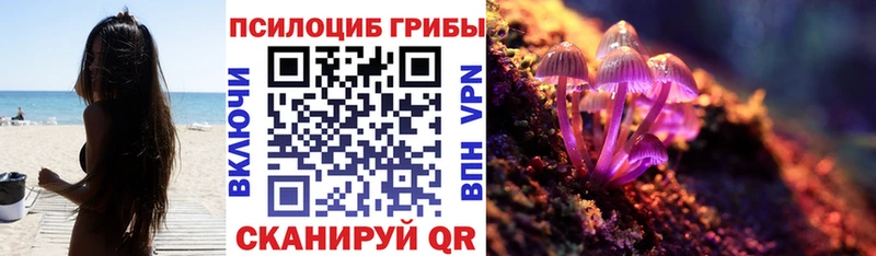 Галлюциногенные грибы MAGIC MUSHROOMS Белокуриха