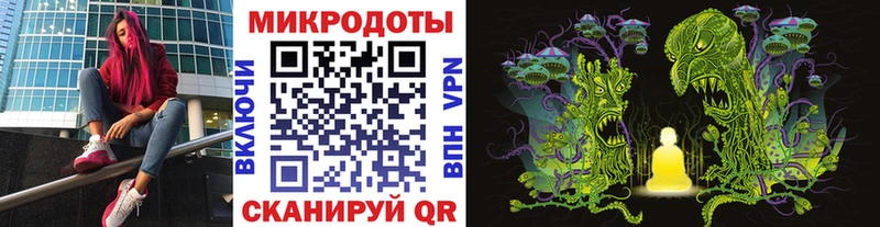 Галлюциногенные грибы Cubensis Белокуриха