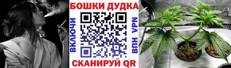 Конопля ГИДРОПОН  гидра маркетплейс  Белокуриха 